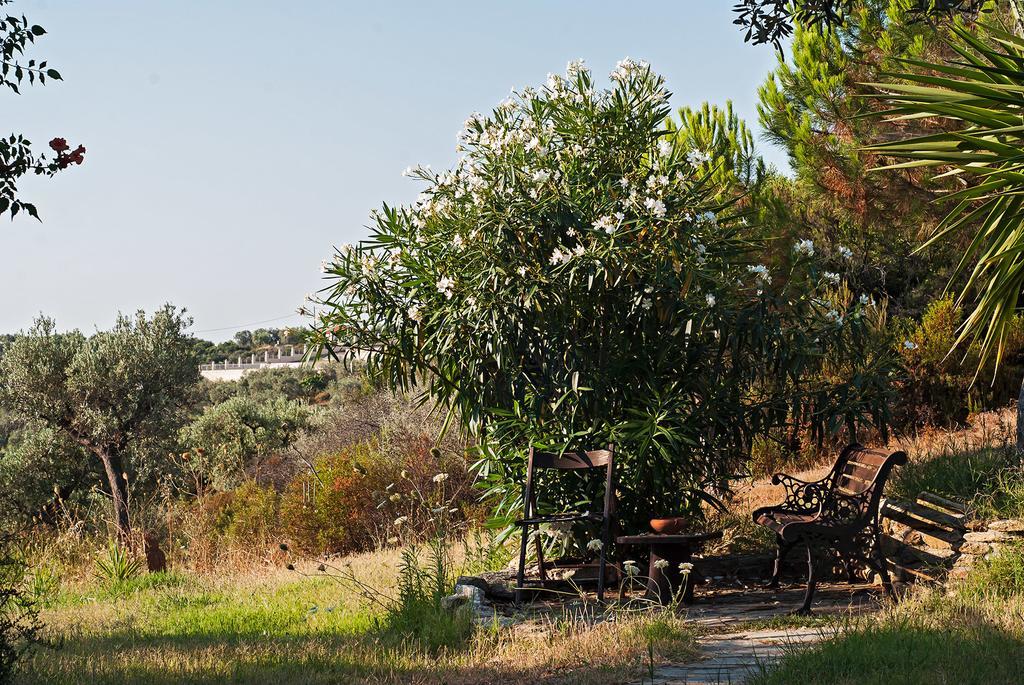Kortiri Studios Ayios Nikolaos Bagian luar foto